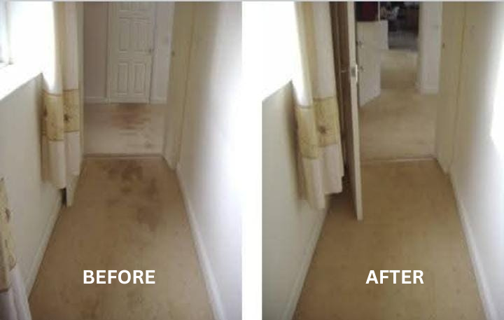 Before and after carpet cleaning in a hallway